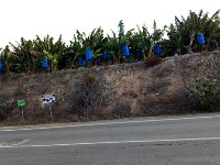 IMAG6292