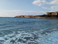IMAG6299