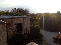 IMAG6363