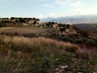 IMAG6394