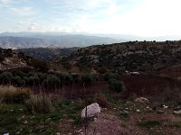 IMAG6395