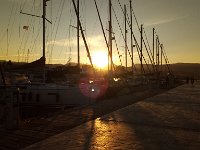 IMAG6493