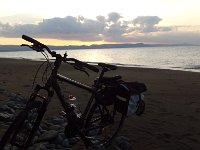 IMAG6516