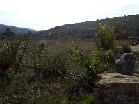 IMAG6530