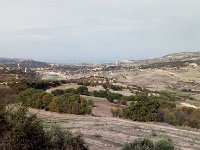 IMAG6543