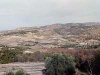 IMAG6545