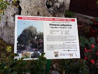 IMAG6552