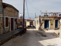 IMAG6561