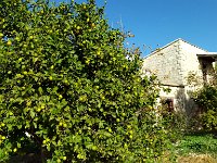 IMAG6591
