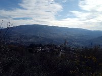IMAG6593