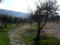 IMAG6594
