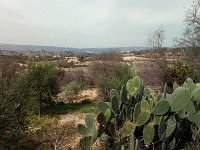 IMAG6689