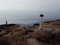 IMAG6737