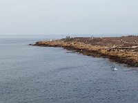 IMAG6749
