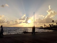 IMAG6770