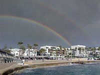 IMAG6784