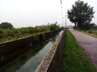 IMAG0209