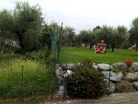 IMAG0839