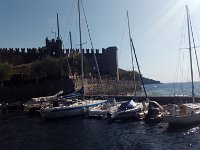 IMAG0871