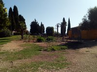 IMAG0895