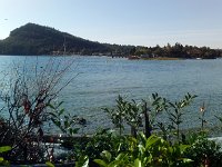 IMAG0902