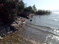 IMAG0907