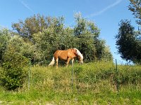 IMAG0944