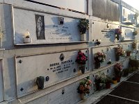 IMAG0954