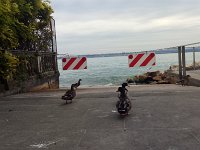 IMAG0981
