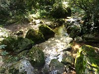 IMAG1094