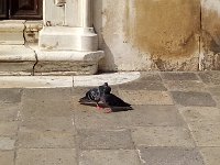 IMAG1268