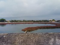 IMAG1349